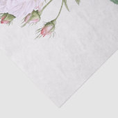 ティッシュペーパー:ピエール・ジョゼフ・レドゥテ：白バラ 薄葉紙 (詳細)