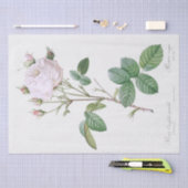ティッシュペーパー:ピエール・ジョゼフ・レドゥテ：白バラ 薄葉紙 (クラフト)