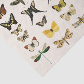 ティッシュペーパー:ヴィンテージバタフライ図 薄葉紙 (詳細)