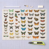 ティッシュペーパー:ヴィンテージバタフライ図 薄葉紙 (クラフト)