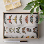 ティッシュペーパー:ヴィンテージバタフライ図 薄葉紙 (ギフト)