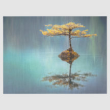 ティッシュペーパー:「島の木」