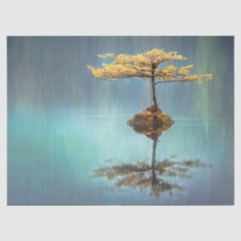 ティッシュペーパー:「島の木」 薄葉紙