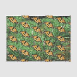 ティッシュペーパー（昆虫）オオカバマダラ、モナークズオンパインブーフーズ 薄葉紙