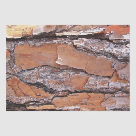 ティッシュペーパー – 松の樹皮 薄葉紙 (正面)