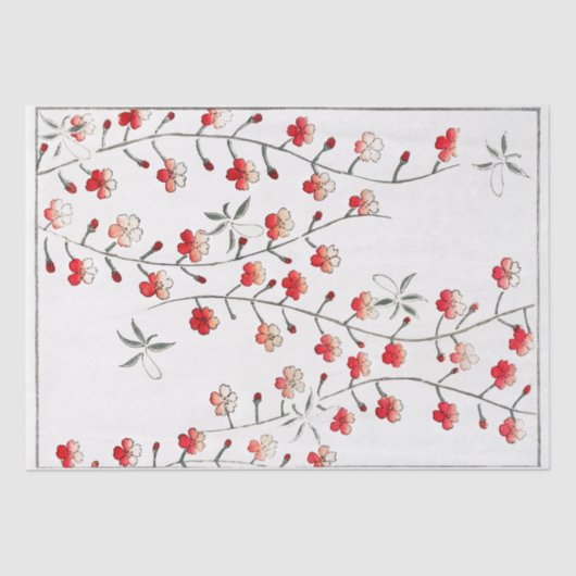 ティッシュペーパー:渡辺清庭さくらんぼ花 薄葉紙 (正面)