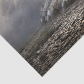 ティッシュペーパー 薄葉紙 (詳細)