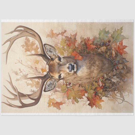 ティッシュペーパー 薄葉紙 (正面)