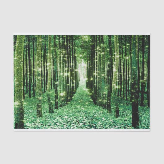 ティッシュペーパー 魔法の森 緑 ミステリー 薄葉紙 (正面)