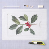 ティッシュペーパー: PIERRE'JOSEPH REDOUE : HOLLY 薄葉紙 (クラフト)