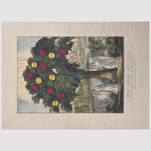 ティッシュペーパー: THE TREE OF LIFE : BAKEWELL : 1870 薄葉紙 (正面)