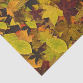 ティッシュラッピング紙-紅葉 薄葉紙 (詳細)