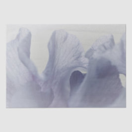 ティッシュ・ペーパー(2)セット 紫のソフトアイリス・ペタル 薄葉紙