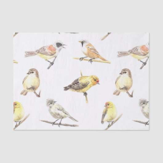 ティット鳥のパターン 薄葉紙 (正面)