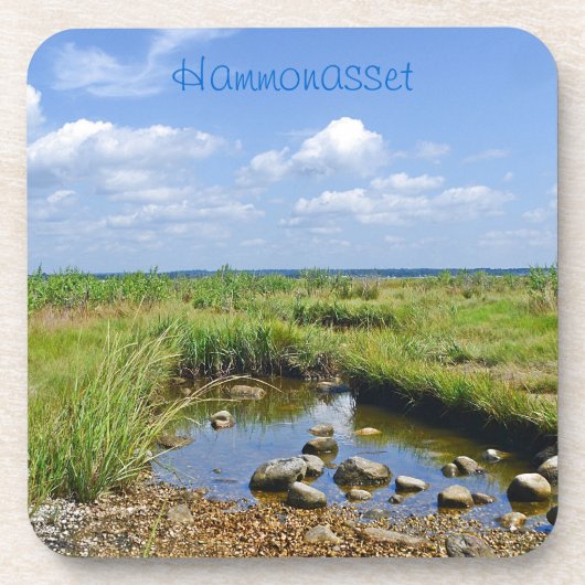 ティデプールコースター コースター (正面)