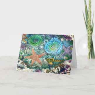 ティデプール反射グリーティングカード カード