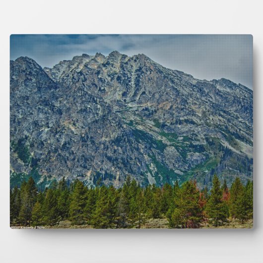 ティトンNP 6901 フォトプラーク (正面)