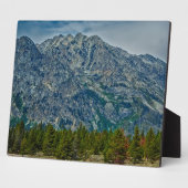 ティトンNP 6901 フォトプラーク (側面)