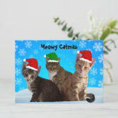 ティト、タズ、アニーと一緒にメロウなクリスマスを シーズンカード (スタンド正面)