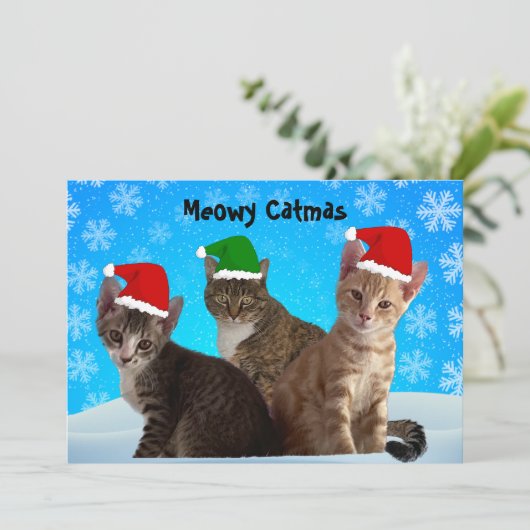 ティト、タズ、アニーと一緒にメロウなクリスマスを シーズンカード (スタンド正面)