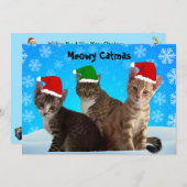 ティト、ターズ、アニー　メリークリスマス シーズンカード (正面/裏面)