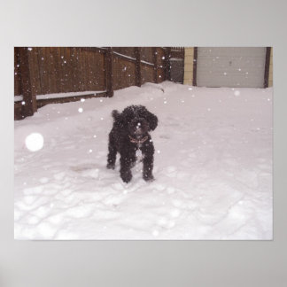 ティナ ポスター