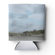 ティビーアイランドビーチ