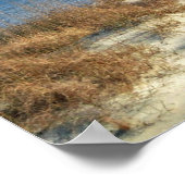 ティビービーチ ポスター (角)