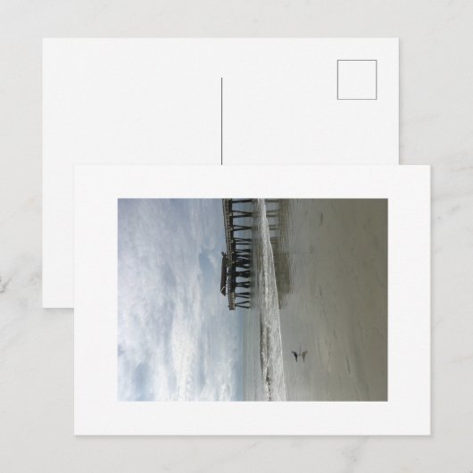 ティビーピア ポストカード (正面/裏面)