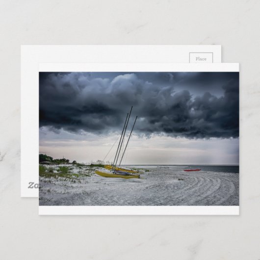 ティビー島ビーチサバンナジョージア海イブ ポストカード (正面/裏面)