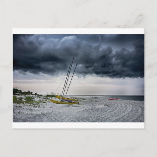 ティビー島ビーチサバンナジョージア海イブ ポストカード (正面)