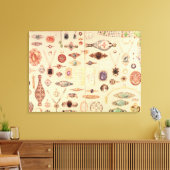 「ティファニーカタログ」からのジュエリー, 1890 キャンバスプリント (インサイチュ (リビング))