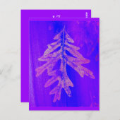 ティフェレシュビフェレ ポストカード (正面/裏面)