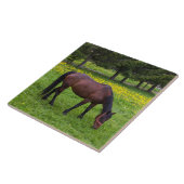 ティフタ峠、馬の牧草地 タイル (側面)