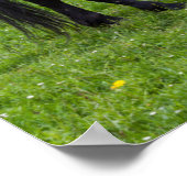 ティフタ峠、馬の牧草地 ポスター (角)