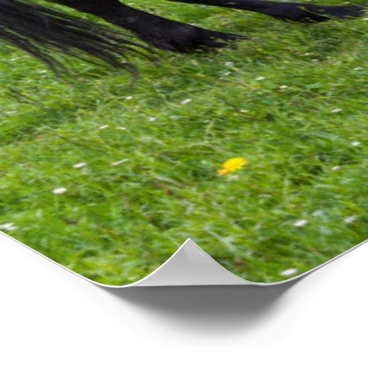 ティフタ峠、馬の牧草地 ポスター (角)