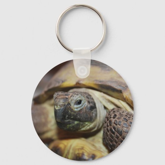 ティブス キーホルダー (正面)