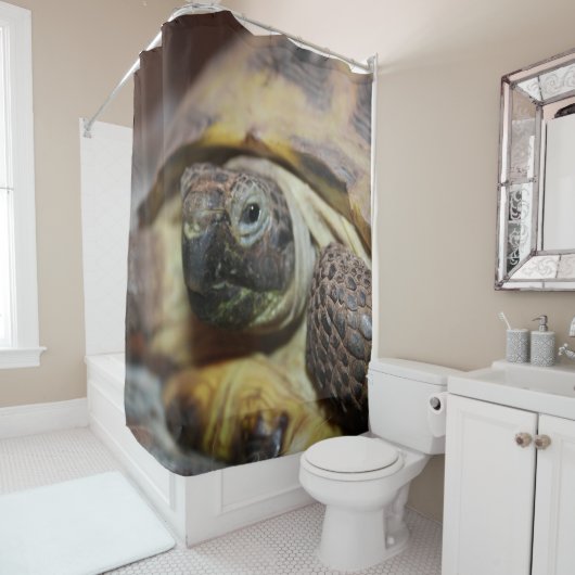 ティブス シャワーカーテン (インサイチュ)