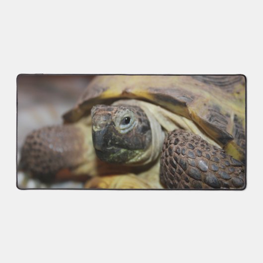 ティブス デスクマット (正面)