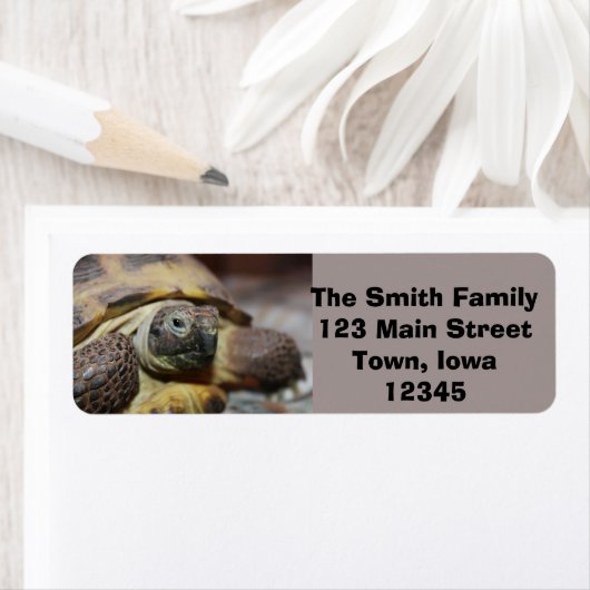 ティブス ラベル (インサイチュ)