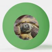 ティブス 卓球ボール (裏面)