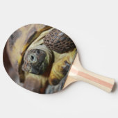 ティブス 卓球ラケット (横)