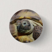 ティブス 缶バッジ (正面)