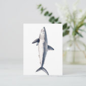 ティブロン・カイロン ポストカード (スタンド正面)