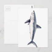 ティブロン・カイロン ポストカード (正面/裏面)