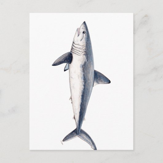 ティブロン・カイロン ポストカード (正面)