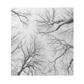 ティプバルの木の葉のない木 ノートパッド (正面)