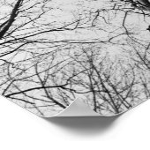 ティプバルの木の葉のない木 ポスター (角)