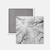 ティプバルの木の葉のない木 マグネット (正面/裏面)