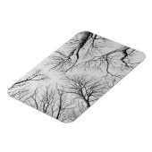 ティプバルの木の葉のない木 マグネット (左側)